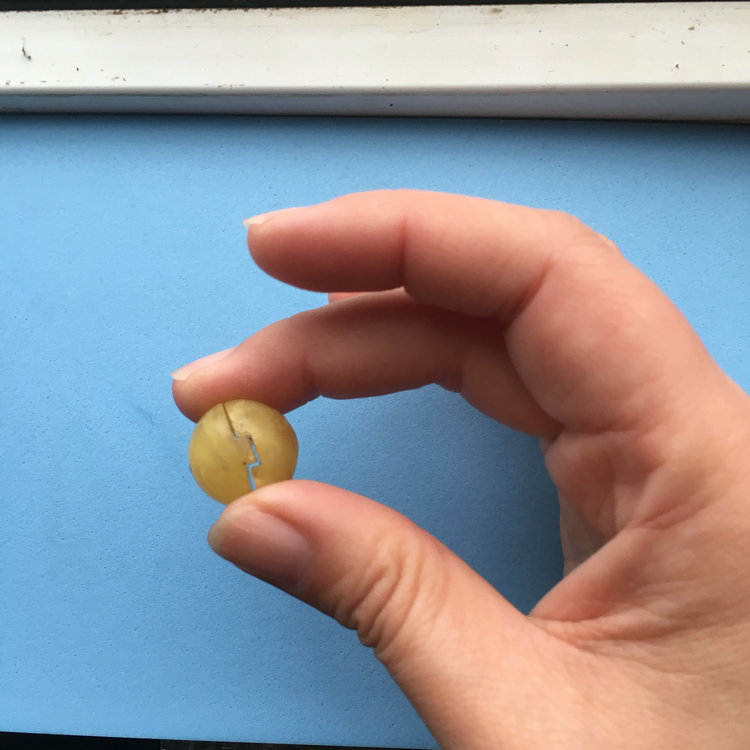 晨虹數(shù)控砂線(xiàn)切割機(jī)切割的蜜蠟珠子
